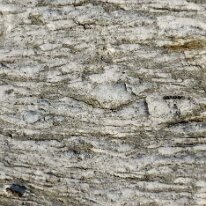 _DSC0077