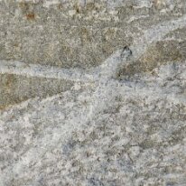 _DSC0078