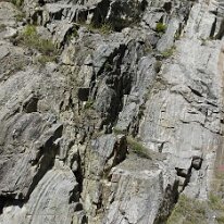 _DSC0049