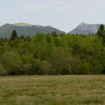 _DSC0079