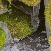 _DSC0083