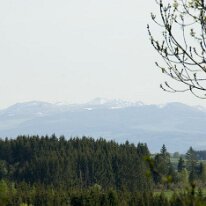 _DSC0084