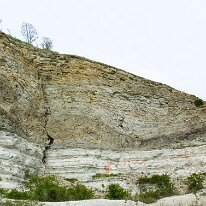 Panorama1