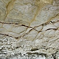 _DSC0074