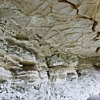 _DSC0075