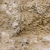 _DSC0083