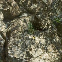 _DSC0043