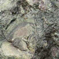 _DSC0052