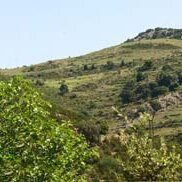 Panorama1