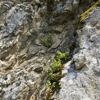 _DSC0059