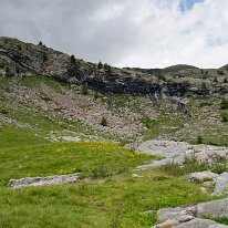 _DSC6446