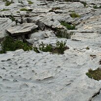 _DSC6451