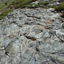 _DSC6453