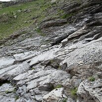 _DSC6454
