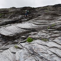 _DSC6455