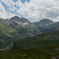 _DSC6461