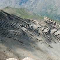 _DSC6505