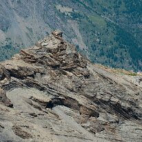 _DSC6515