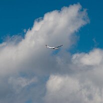 _DSC6517