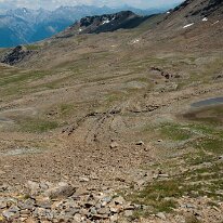 _DSC6520
