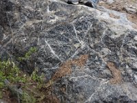 DSC6420  Dernier rocher : une serpentinite, ancienne harzburgite