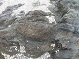 IMG 1167 DxO
