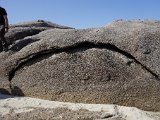  DSC0984