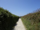  DSC1002