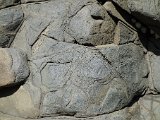  DSC1022