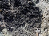 IMG 1373 DxO