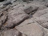 IMG 1400 DxO