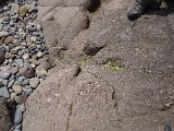  DSC1069