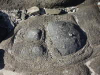 DSC4166