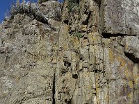 DSC4167