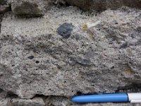 DSC4206  Présence d'amas siliceux au sein du grès, constituant un chert, ou encore une phtanite ou une lidienne