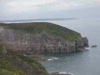 DSC4239