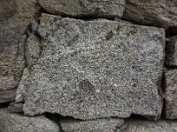 DSC4264  Migmatite diatexite dans lequel le mélanosome (minéraux sombres) ne subsite que dans de petites enclaves
