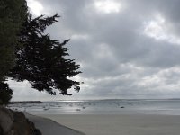 DSC4273