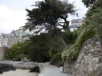 DSC4274