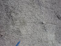 DSC6710  Quartz,muscovite et kaolinite qui constituent les terrils après extraction des matériaux utiles