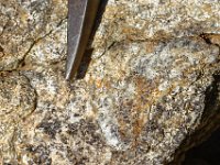 DSC1268 DxO  Migmatite à sillimanite,feutrage blanc à la surface d'un feuillet
