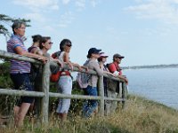 DSC1301 DxO  Après avoir traversé la presqu'île vers le sud