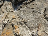 DSC1315 DxO