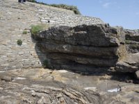 DSC6762  Au sol, un filon de ganite recoupe les migmatites