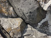 DSC6774  Filon d'amphibolite altéré