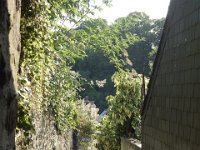 DSC6820