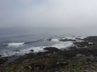 DSC6834