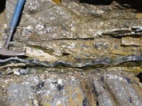 DSC1906 DxO  La déformation de la roche constituant le filon permet de connaître le sens du déplacement des deux compartiments de granite situés de part et d'autre : il est ici sénestre. L'orientation de cette déformation est N70, conforme au CPG, cisaillement de Porspoder-Guissény.