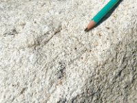 DSC1918 DxO  Présence de grenat dans le leucogranite de l'Ile de Sieck