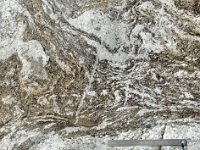 DSC1967 DxO  Migmatite